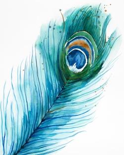Long peacock feather