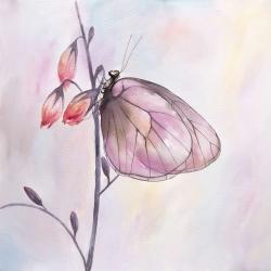 Delicate butterfly