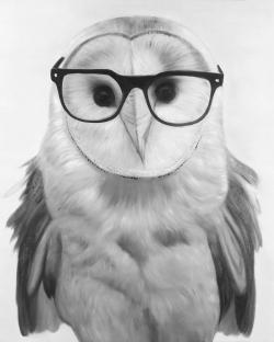 Realistic barn owl with glasses