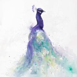 Abstract peacock in watercolor