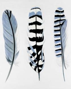 Delicate feathers