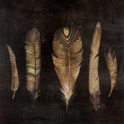 Ensemble de plumes brunes