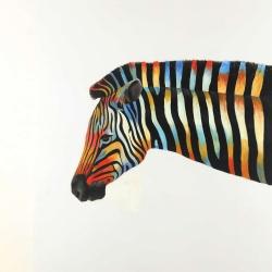 Colorful zebra