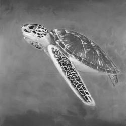 Grayscale sea turtle