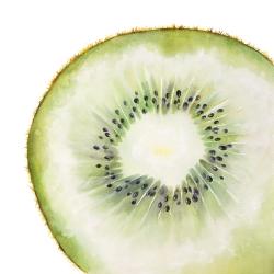 Kiwi slice