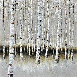 Winter forest landscape