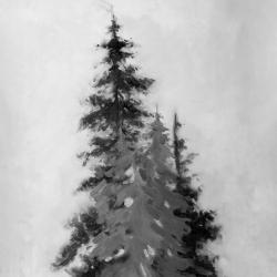Silhouette of black and grey trees