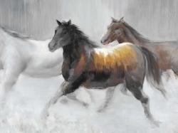Herd of wild horses