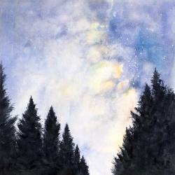 Starry sky in forest