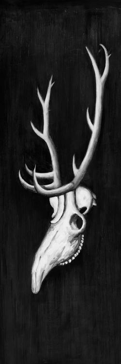 Deer skull in the dark