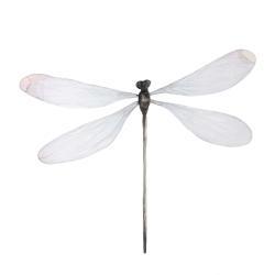 Minimalist dragonfly