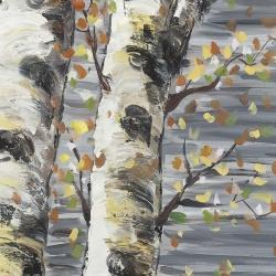 Budding white birches
