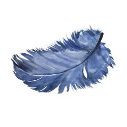 Plume bleue à l'aquarelle