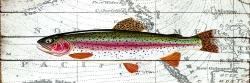 Trout on a world map