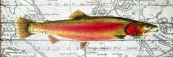 Pink trout on a map