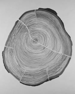 Grayscale wood log