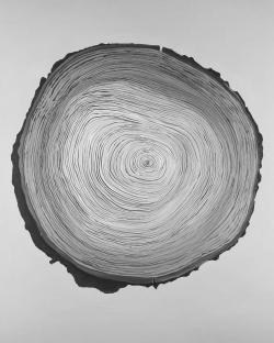 Grayscale round wood log