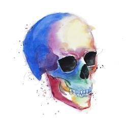 Watercolor colorful skull profile