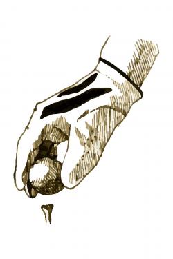 Illustration of a golf glove