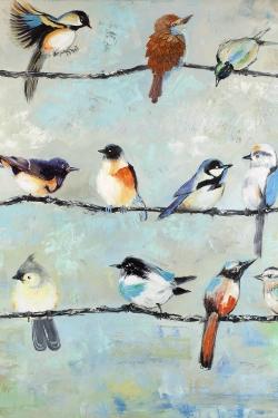 Small colorful birds