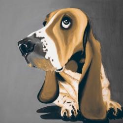 Chien basset doré