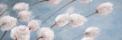 Delicate cotton flowers