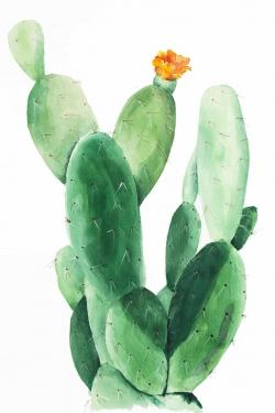 Watercolor paddle cactus with flower