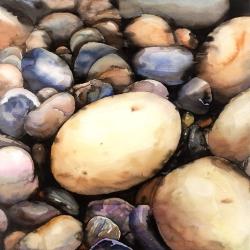 Beach pebbles