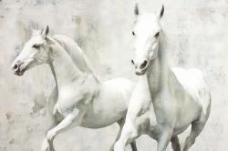 Two white horse running