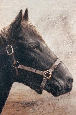 Gallopin le cheval brun