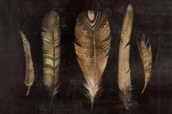 Ensemble de plumes brunes