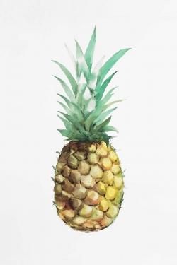 Watercolor pineapple