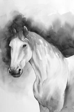 Domino le cheval