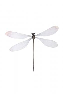 Minimalist dragonfly