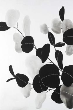 Branches et feuilles rondes