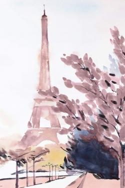 Paris & eiffel scene