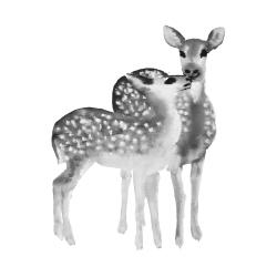 Fawns love