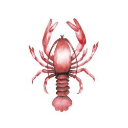 Homard
