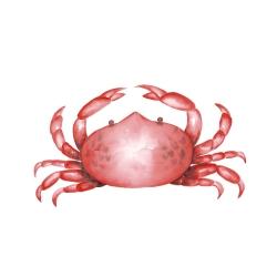 Crabe