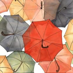 The umbrellas of petit champlain
