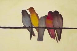 Cinq oiseaux sur une branche