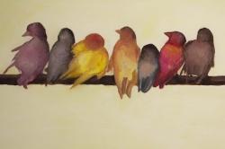 Bird family