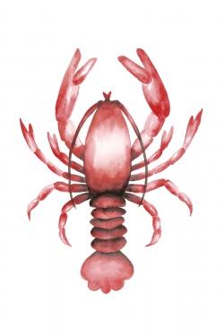 Homard