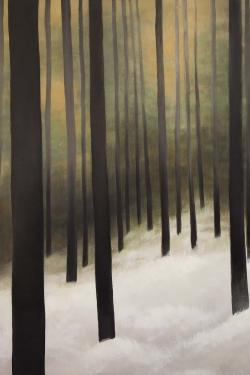 Forêt silencieuse