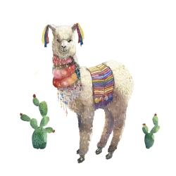 Lama parade