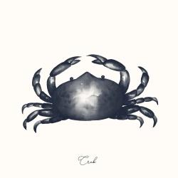 Crabe bleu