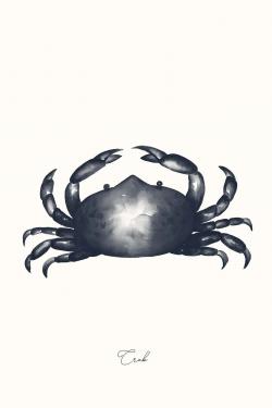 Crabe bleu