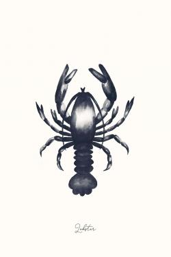 Homard bleu