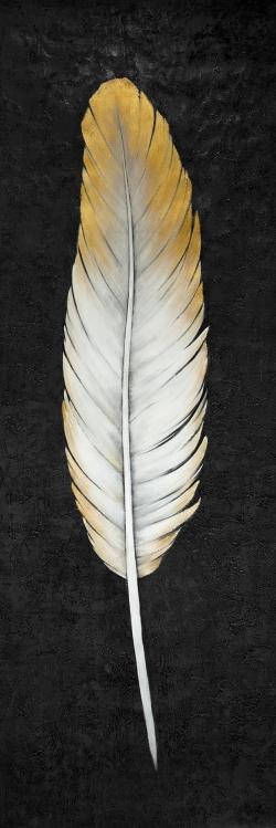 Plume dorée