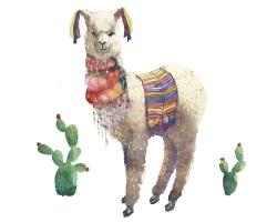 Lama parade